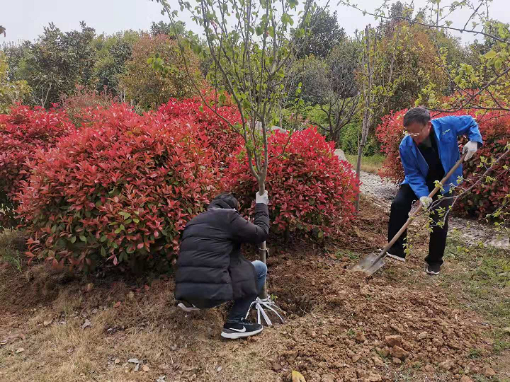 鍥剧墖2.png 鍥剧墖2.png