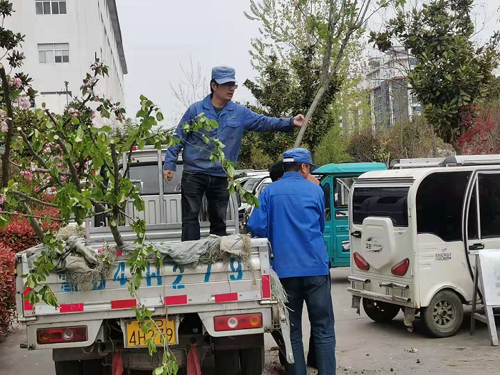 鍥剧墖1.png 鍥剧墖1.png