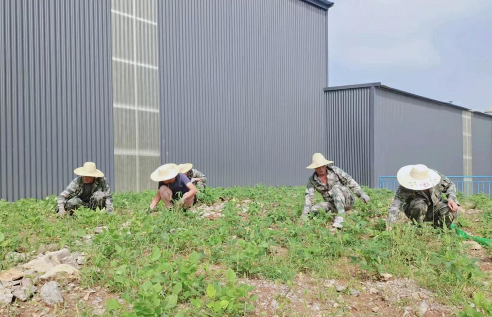 鍥剧墖2.png 鍥剧墖2.png